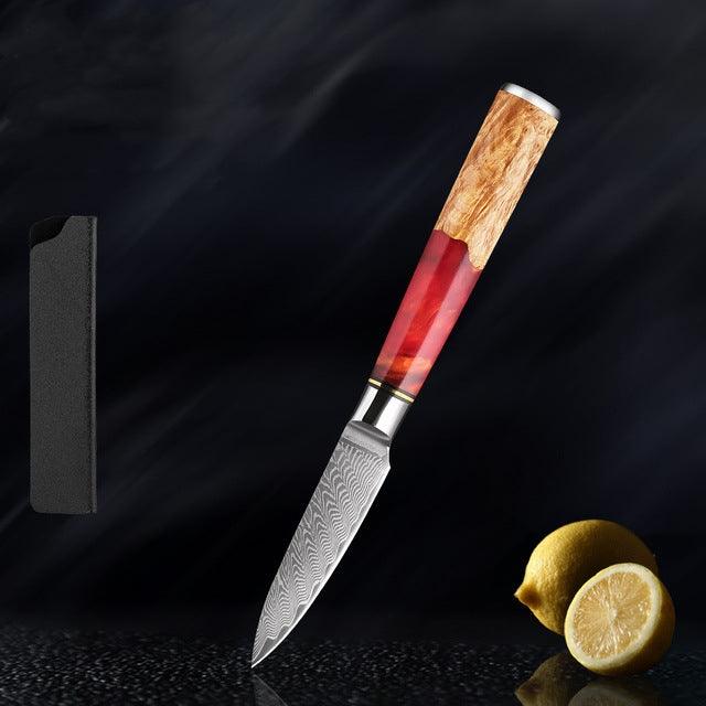 Japanese Damascus Steel Kitchen Knife Set With Coloured Red Handle