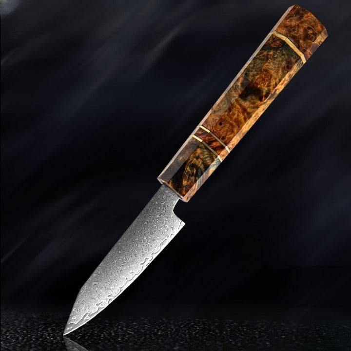 Utsukushi Japanese Damascus Steel VG10 Chef Kitchen Knife Set