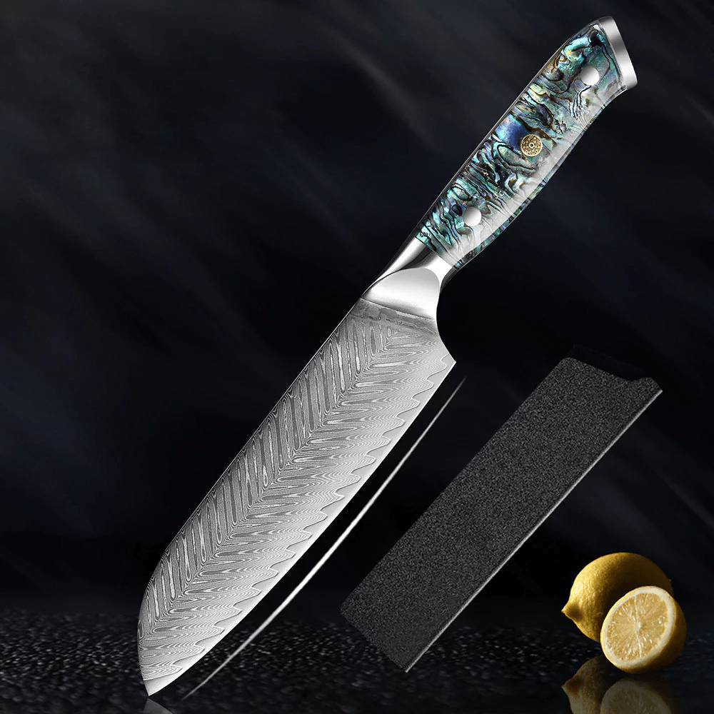 Damascus Steel Kitchen Knife with Abalone Handle