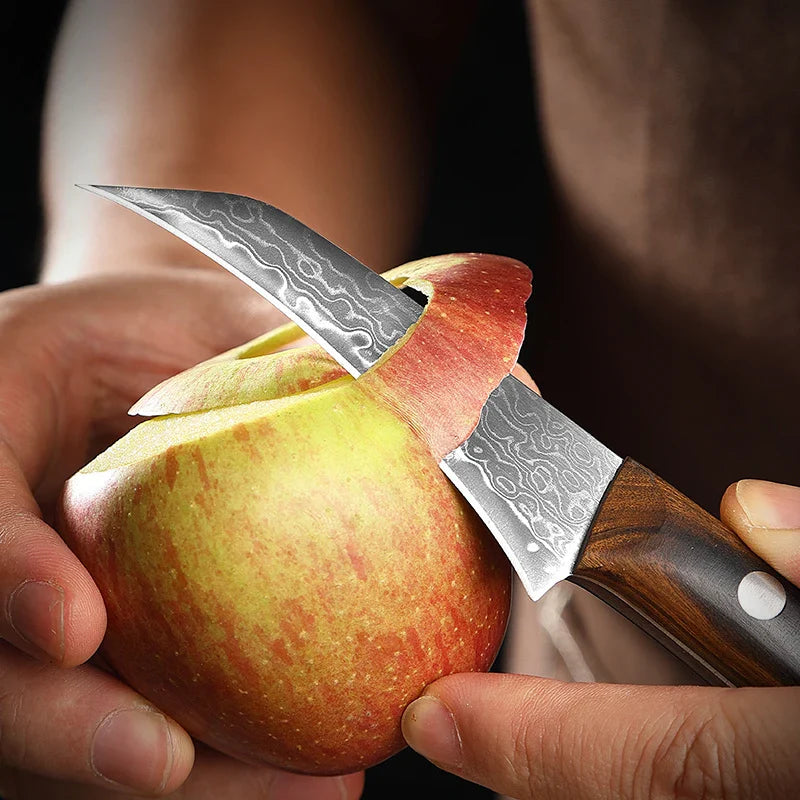 Horl Bird-Beak Paring Knife – 3.5” Damascus Stainless Steel