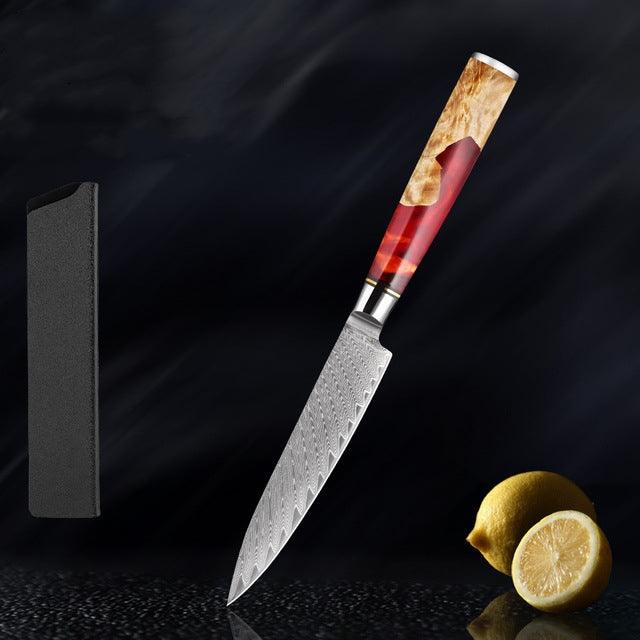 Japanese Damascus Steel Kitchen Knife Set With Coloured Red Handle