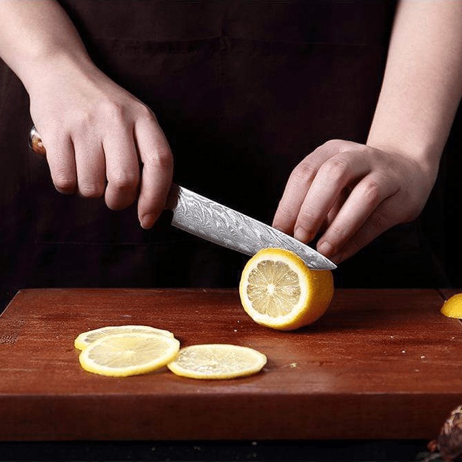 Japanese Damascus Steel Kitchen Knife Set With Resin Handle
