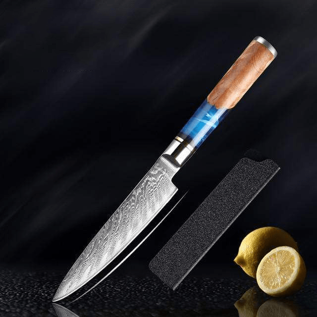 Japanese Damascus Steel Kitchen Knife Set With Resin Handle