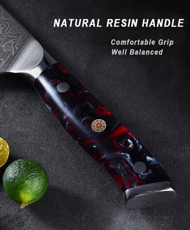 Professional Damascus 8" Chef Knife, 7" Santoku Knife With VG10 67Layer of Premium Steel - Letcase
